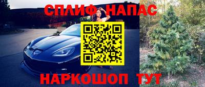 прущие грибы Бийск
