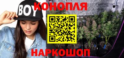 прущие грибы Бийск