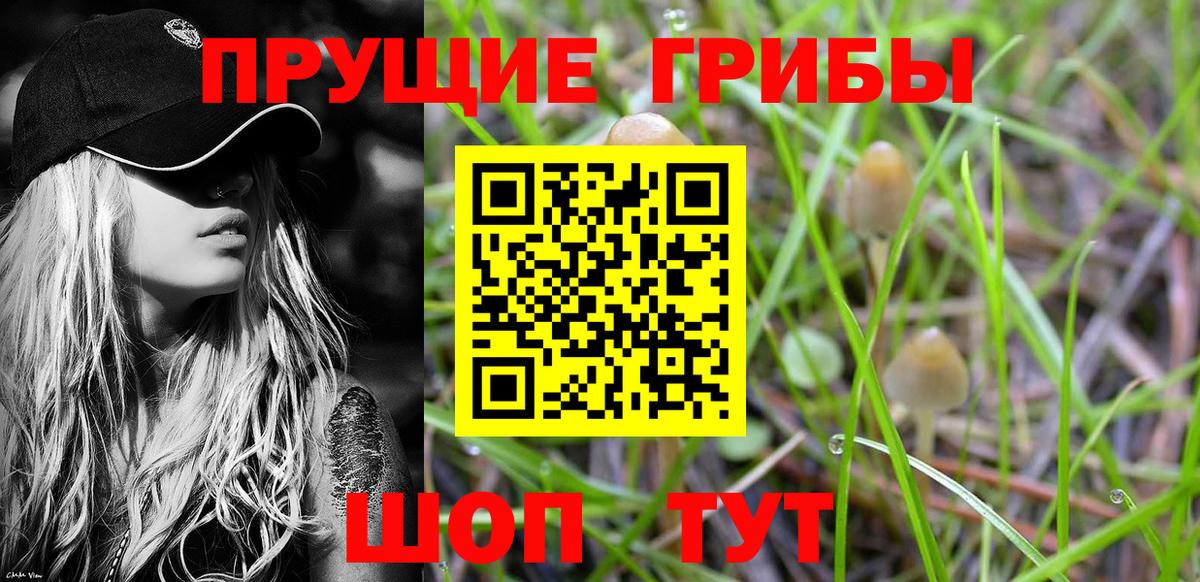 Когалым  Галлюциногенные грибы Psilocybine cubensis  Вход с VPN  Галлюциногенные грибы мицелий 