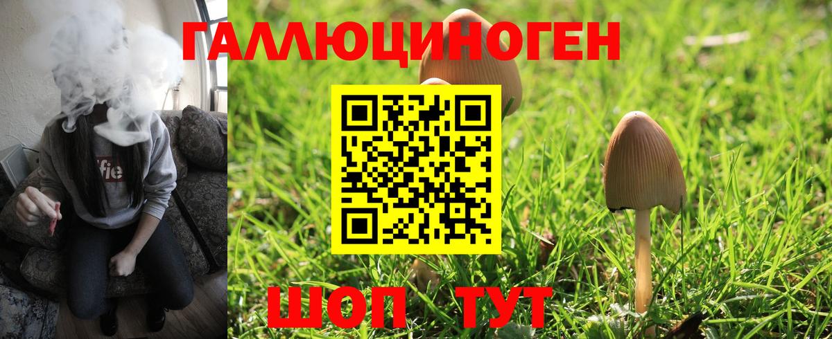 Псилоцибиновые грибы GOLDEN TEACHER Когалым